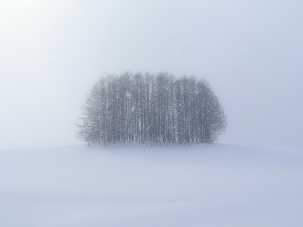 雪降る丘