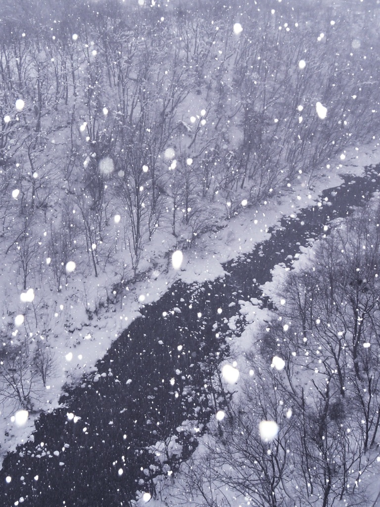 雪が降る