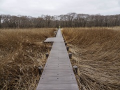北海道はまだ…
