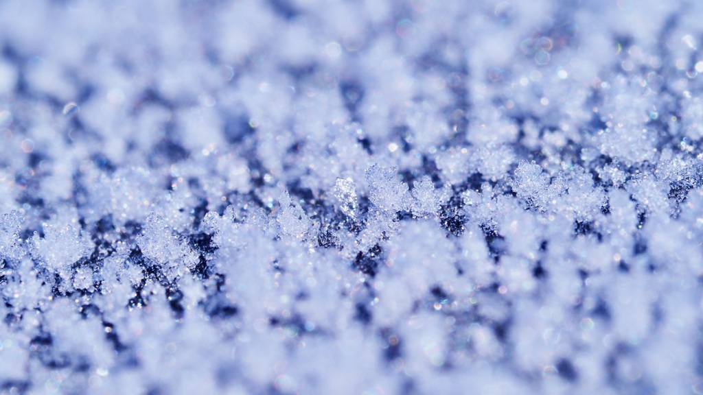 雪つぶつぶ