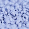 雪つぶつぶ