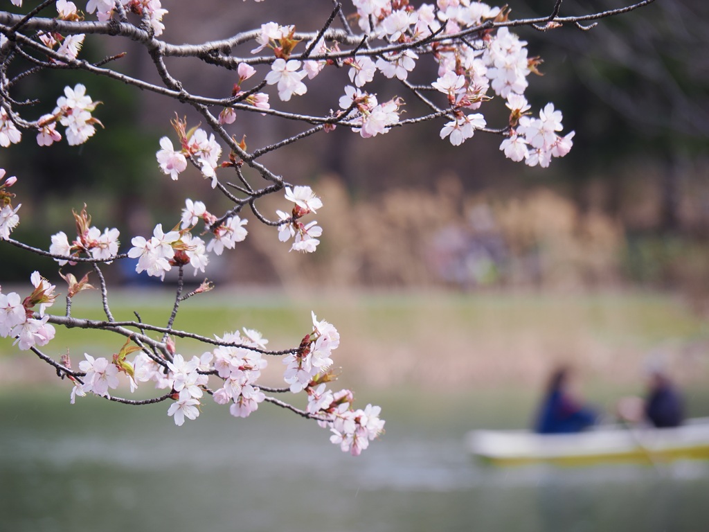 First of May