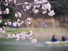 First of May