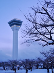 ライトアップを待つ