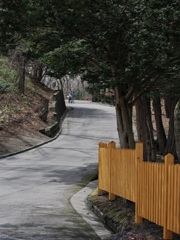 神社の坂道
