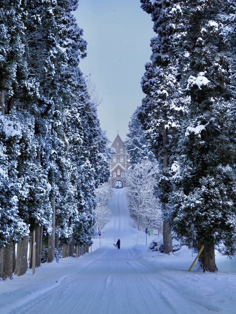 ローマへの道　〜2026冬〜