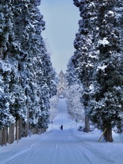 ローマへの道　〜2026冬〜