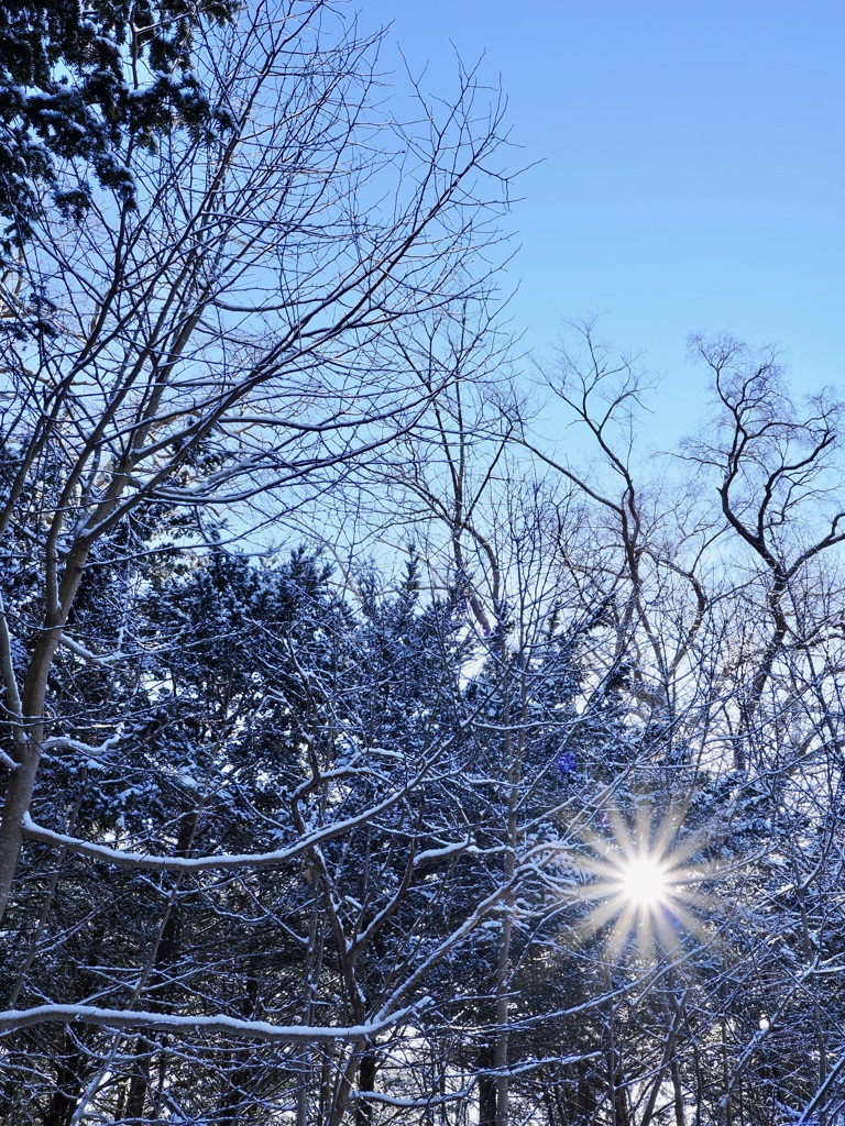 2026年初詣の帰り道