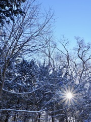 2026年初詣の帰り道