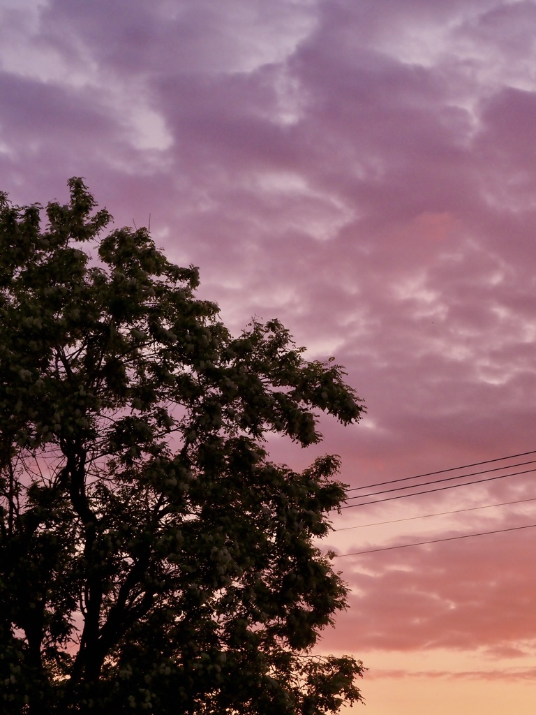 一昨日の夕雲