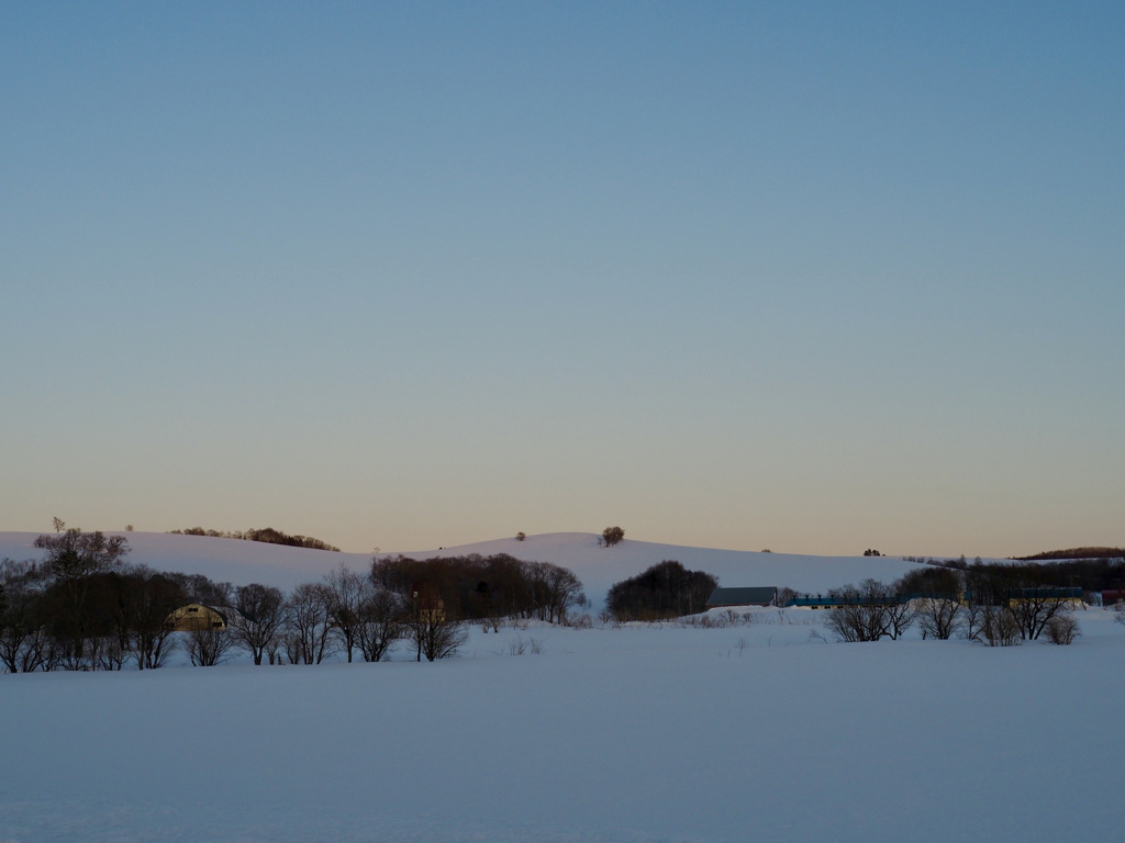 夕暮れの牧場