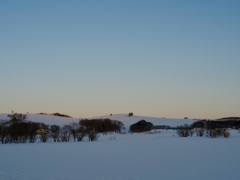 夕暮れの牧場