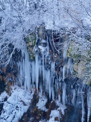 樹氷と氷柱