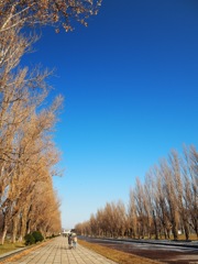 青空の中の散歩