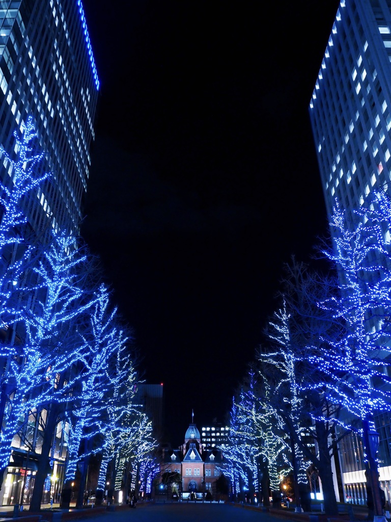 夜の札幌（道庁赤れんが）