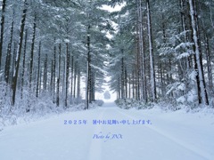 2025 暑中お見舞い申し上げます。