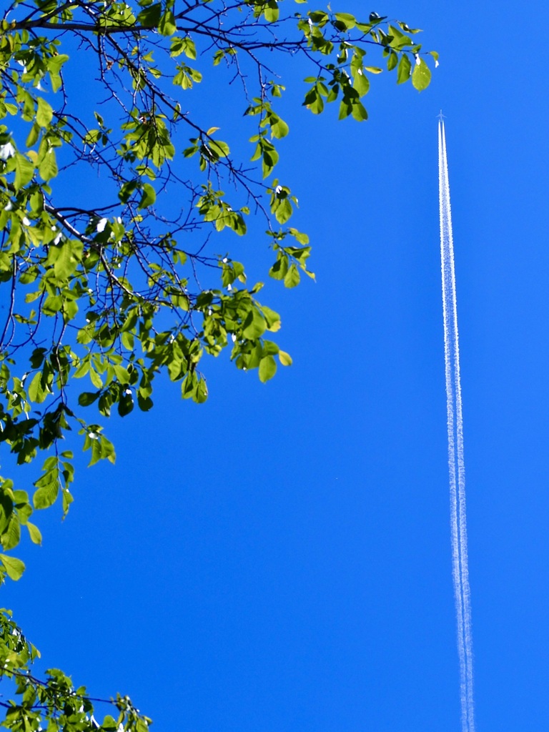 青空の白い筋