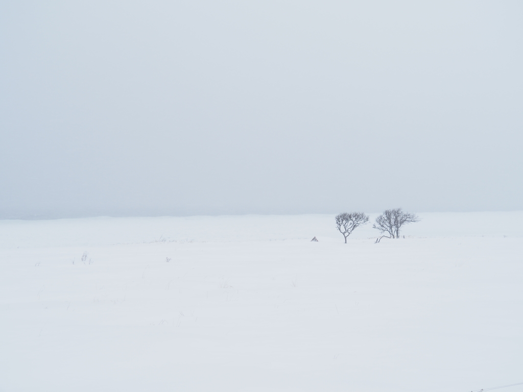 風雪に耐える