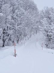 「紅白バー」は除雪の目印