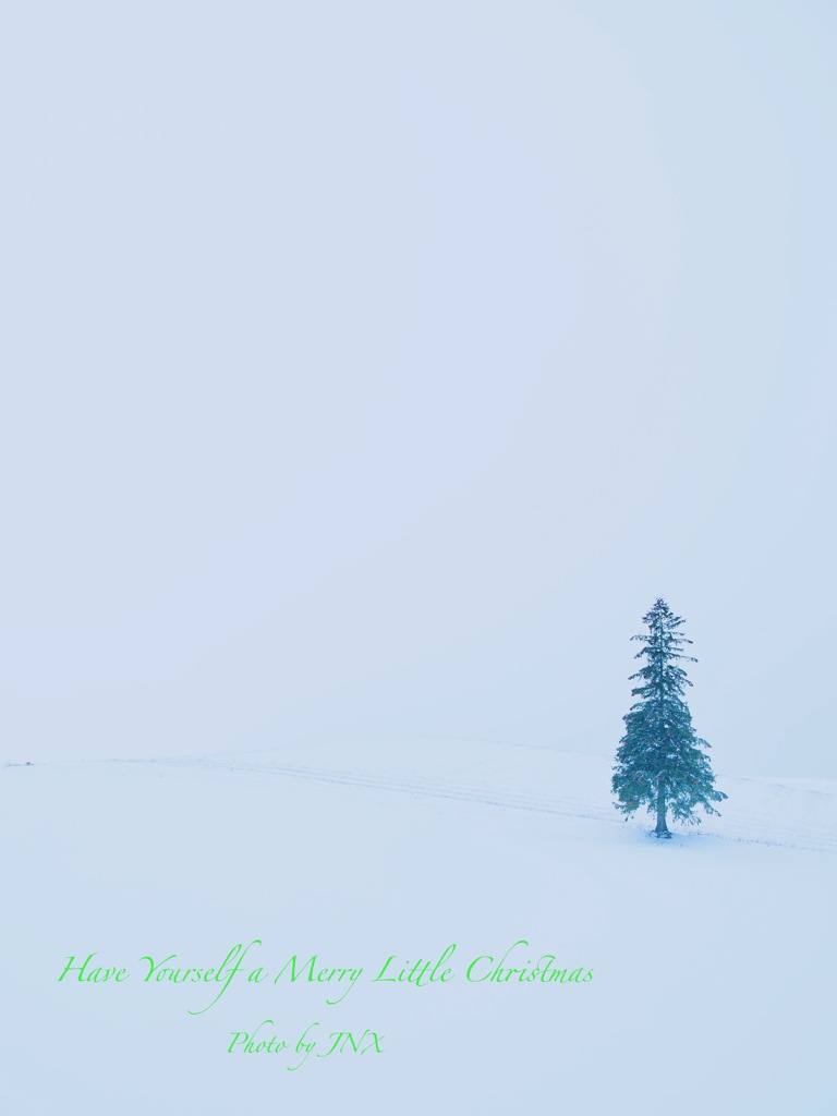 Merry Christmas!