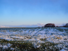 牧草畑を覆う雪