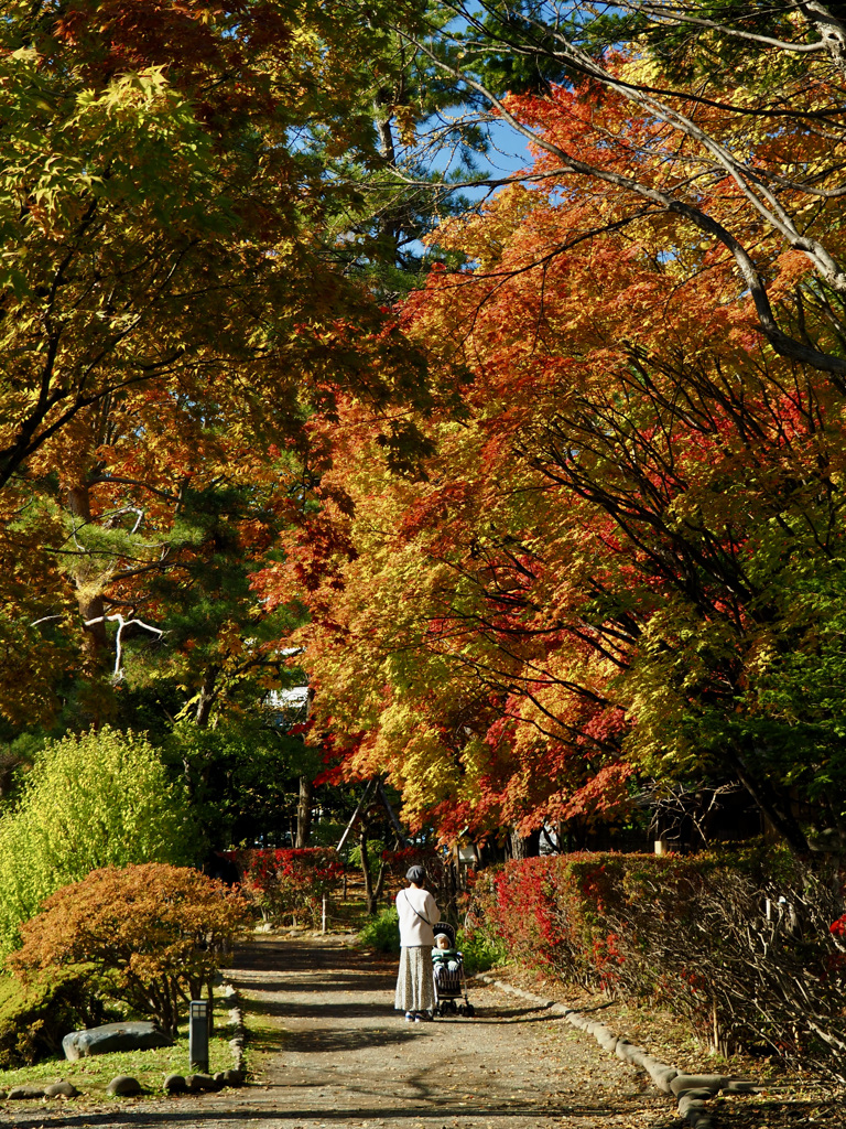 中島公園　秋　その２