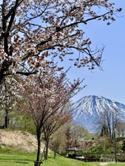 子ども達が遊ぶ公園から望む蝦夷富士