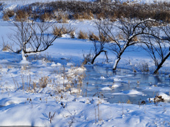 氷始める川