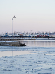 凍り始める港の番人