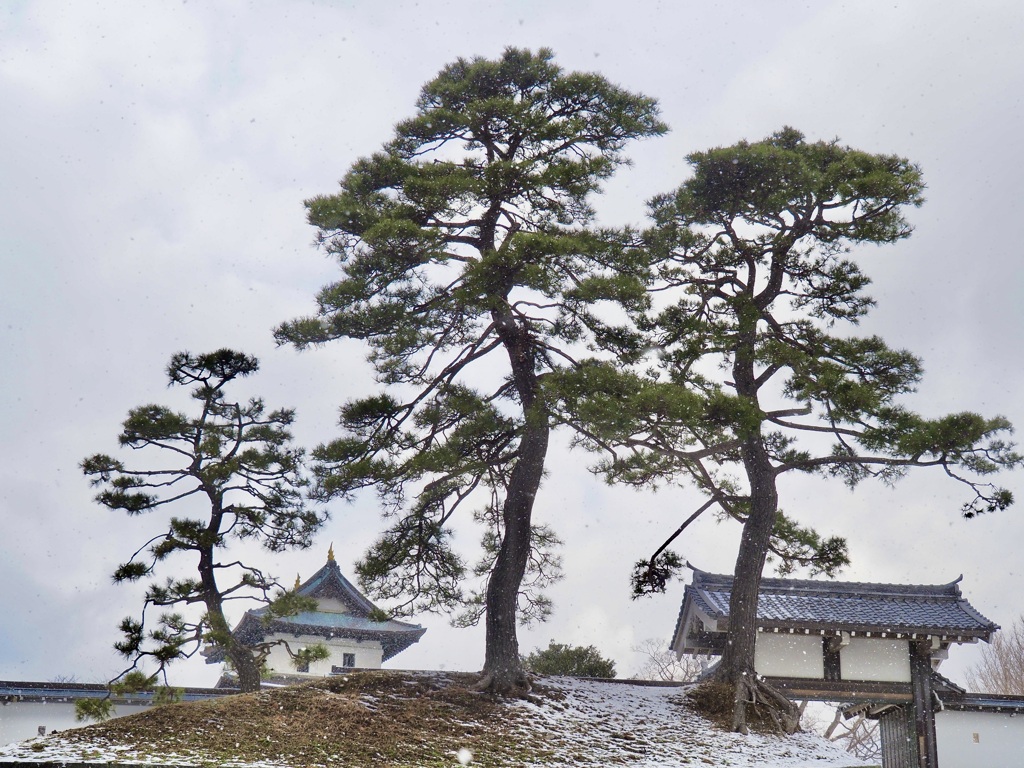 松前城 Three Sisters