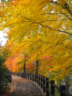 滝上　錦仙峡①