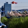 桜並木をバックに泳ぎます