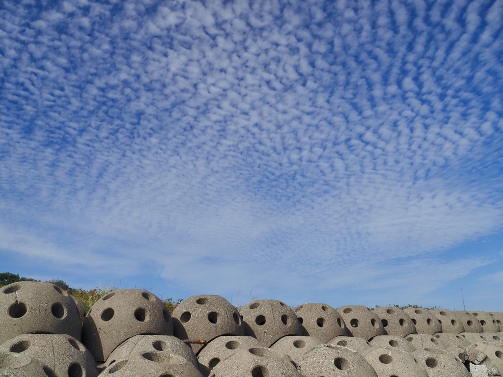 2023秋の空