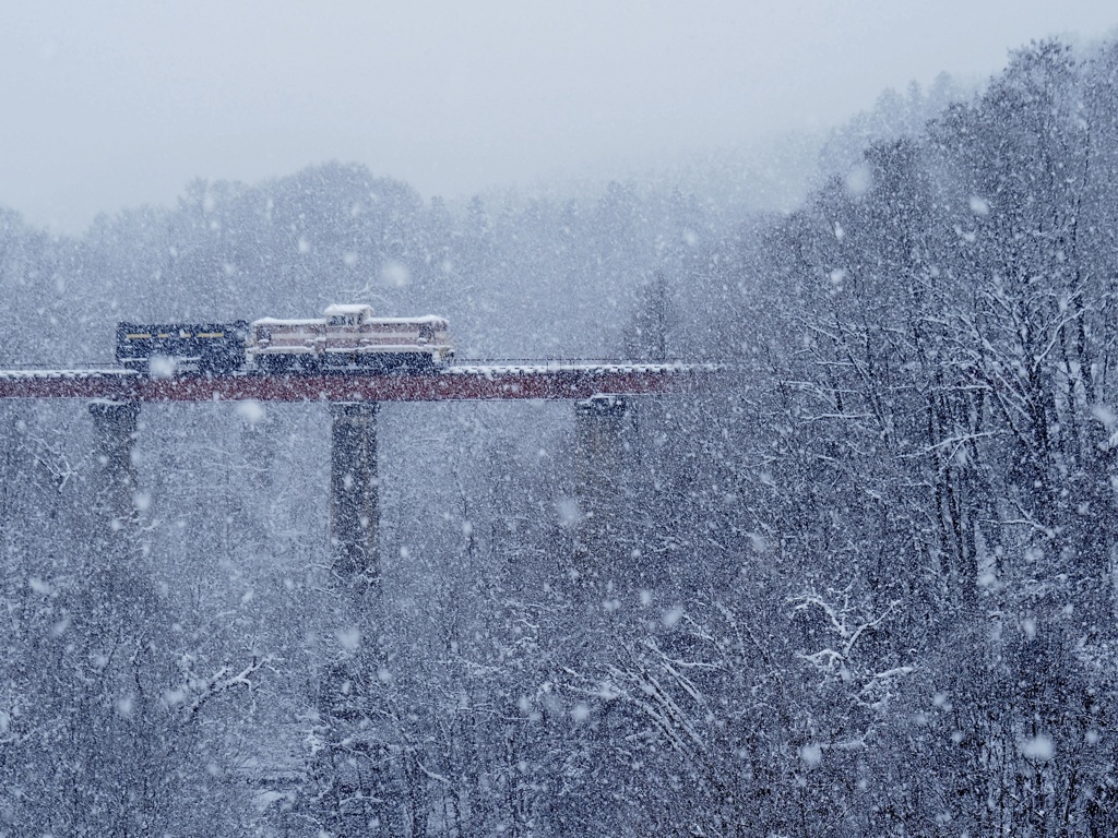 雪が降る