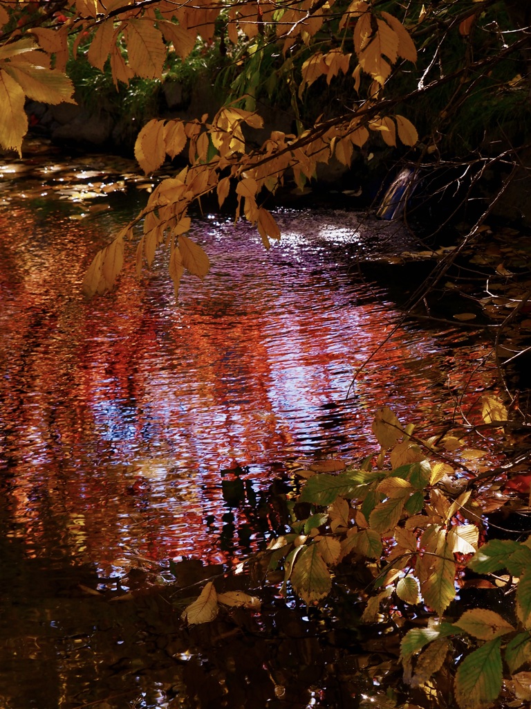 水面、燃ゆる