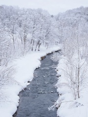 3月8日　今日の美瑛
