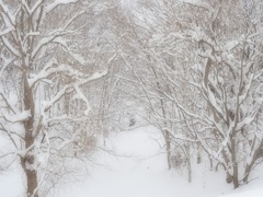 深雪沢