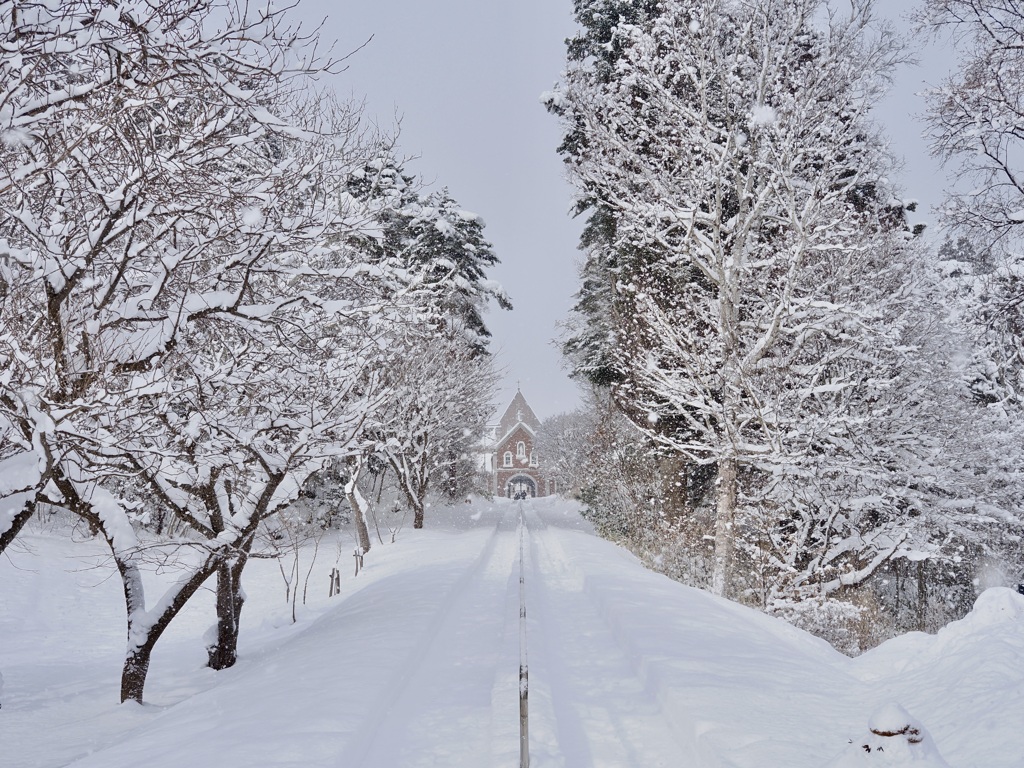 ここに来る時はいつも大雪