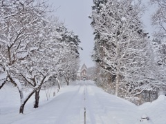 ここに来る時はいつも大雪