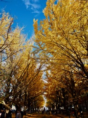 そろそろ終わり…