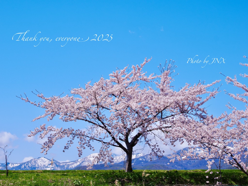 2025年、今年もありがとうございました