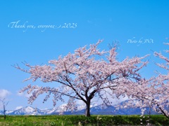 2025年、今年もありがとうございました