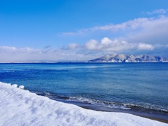 対岸から函館の街を望む