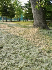 ６月の雪景色