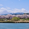 川と桜と雪山と