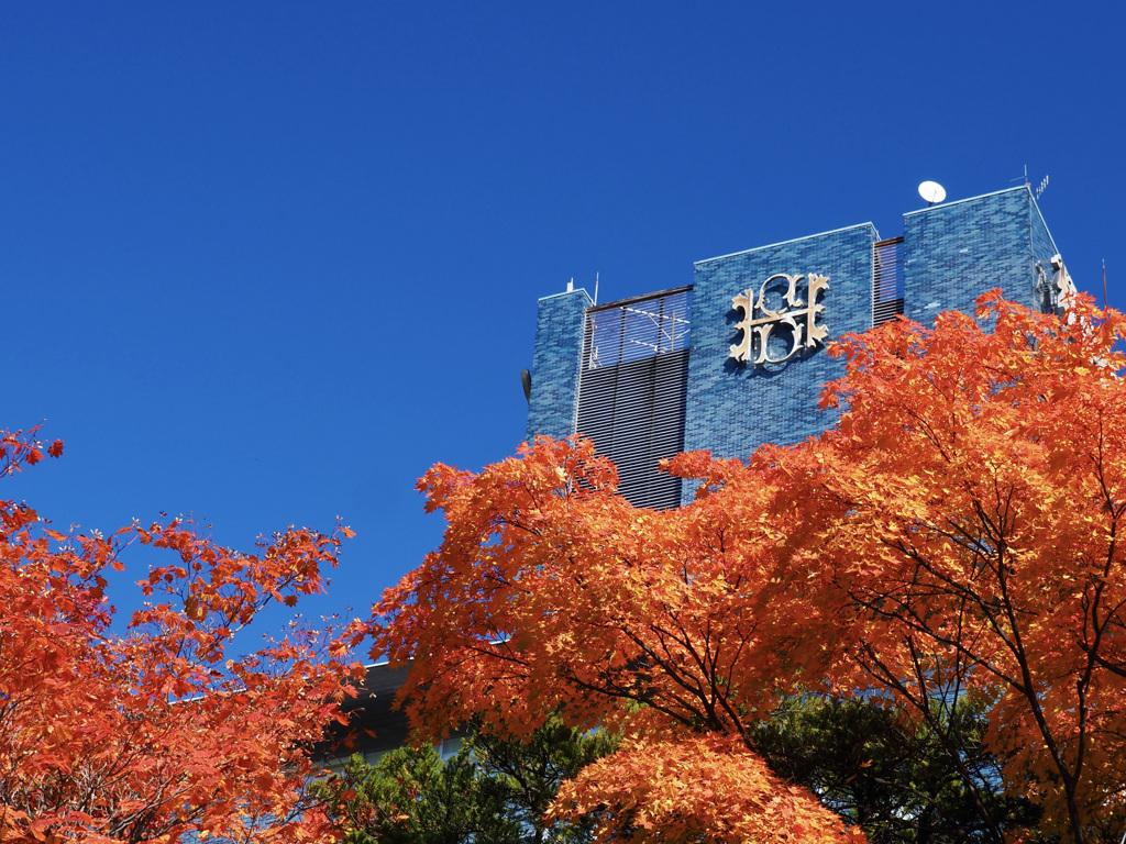 札幌パークホテル　その２