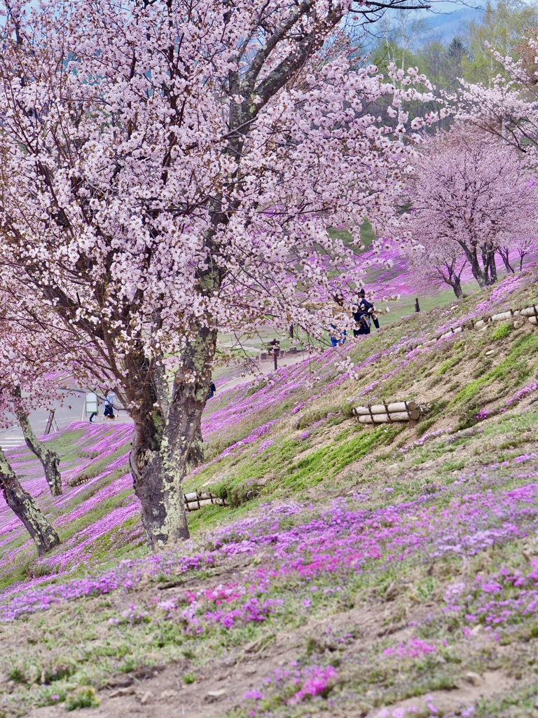 スタート地点