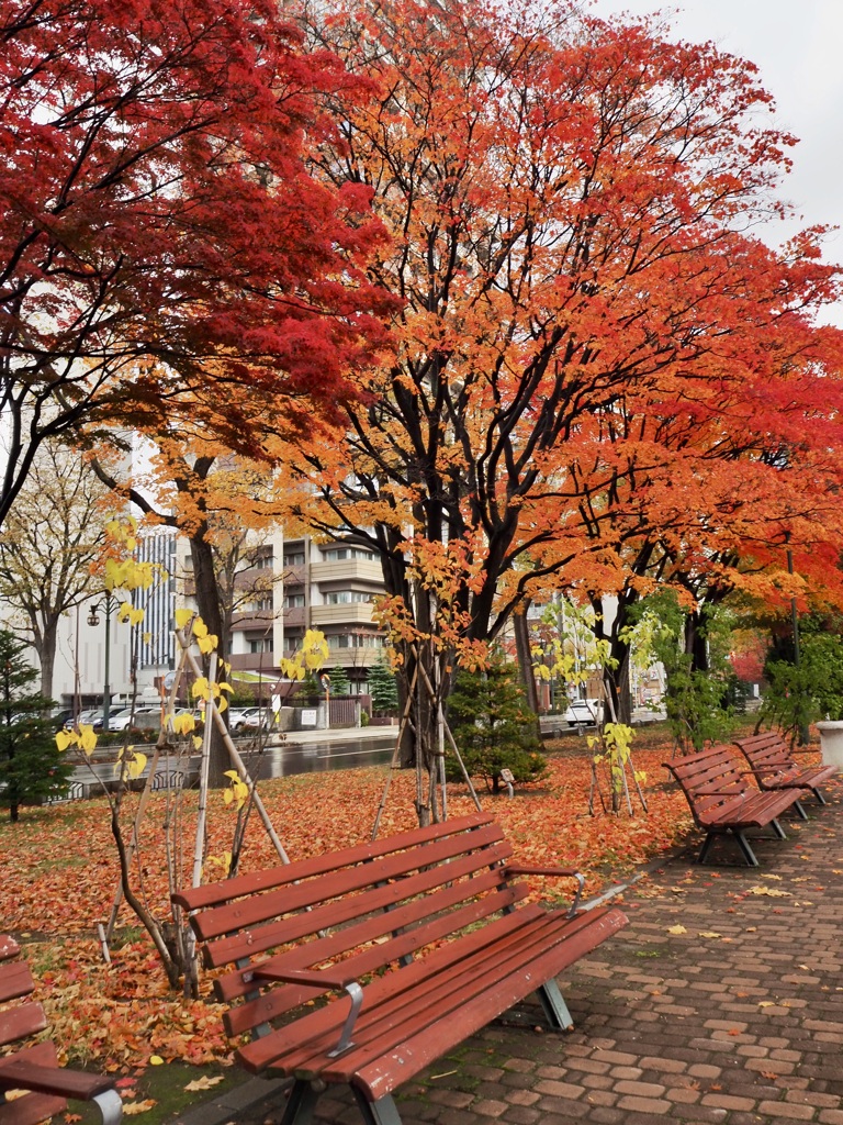 秋の大通り公園
