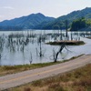 湖底を想う