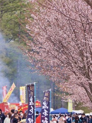 桜まつり